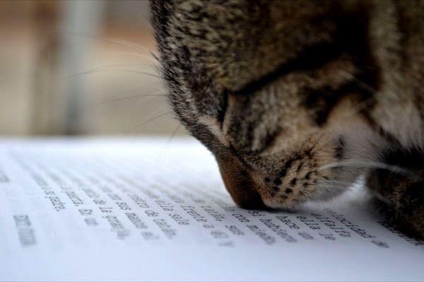 On the Science of Bibliosmia: That Enticing Book Smell – Interesting Literature