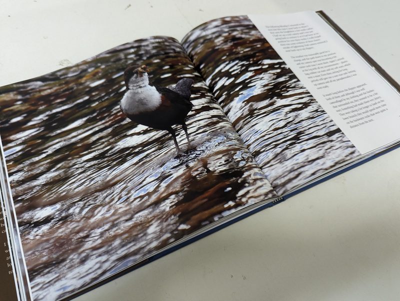 Dippers on the Dee by Richard Cook, printed and bound by Imprint Digital