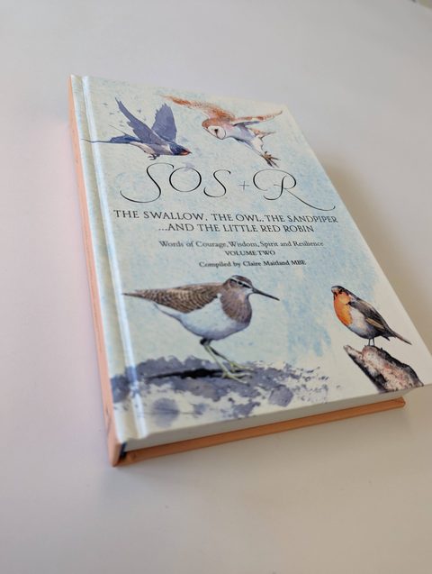 An illustrated watercolour hardback, The Swallow, the Owl, the Sandpiper and the Little Red Robin