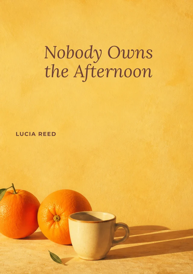 Nobody Owns the Afternoon, premade Literary fiction book cover