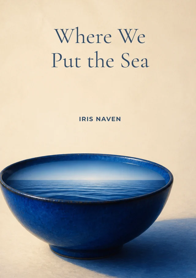 Where We Put the Sea, premade Literary fiction book cover
